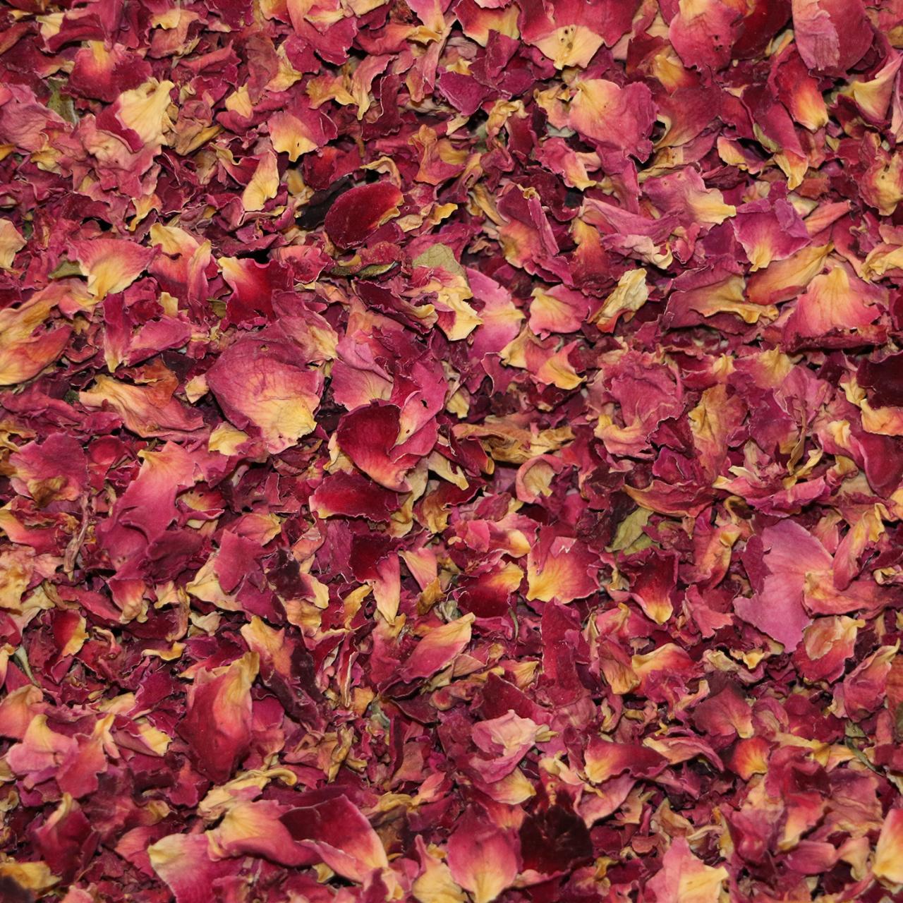 Mørkerøde rosenblade