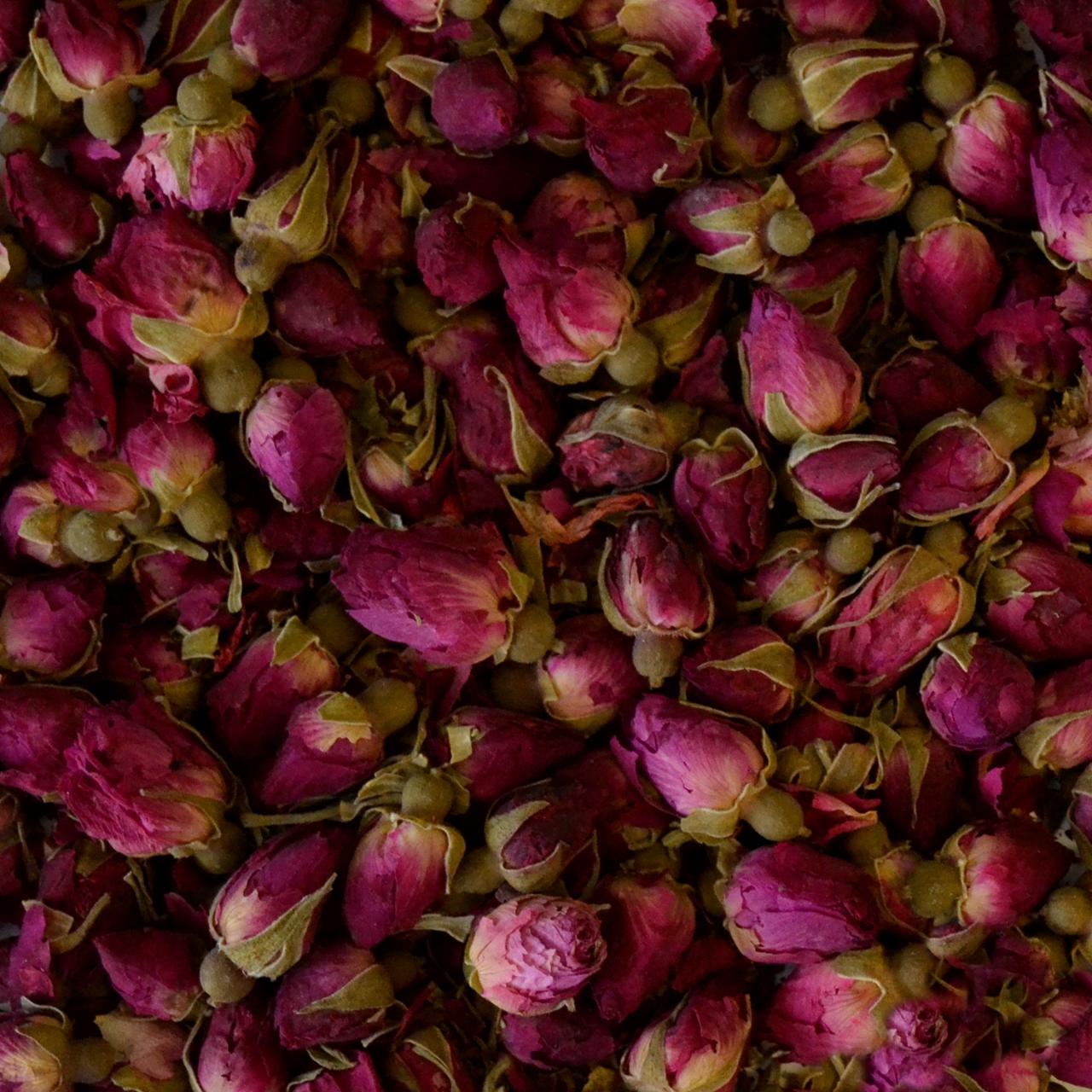 Mørkerøde rosenknopper 