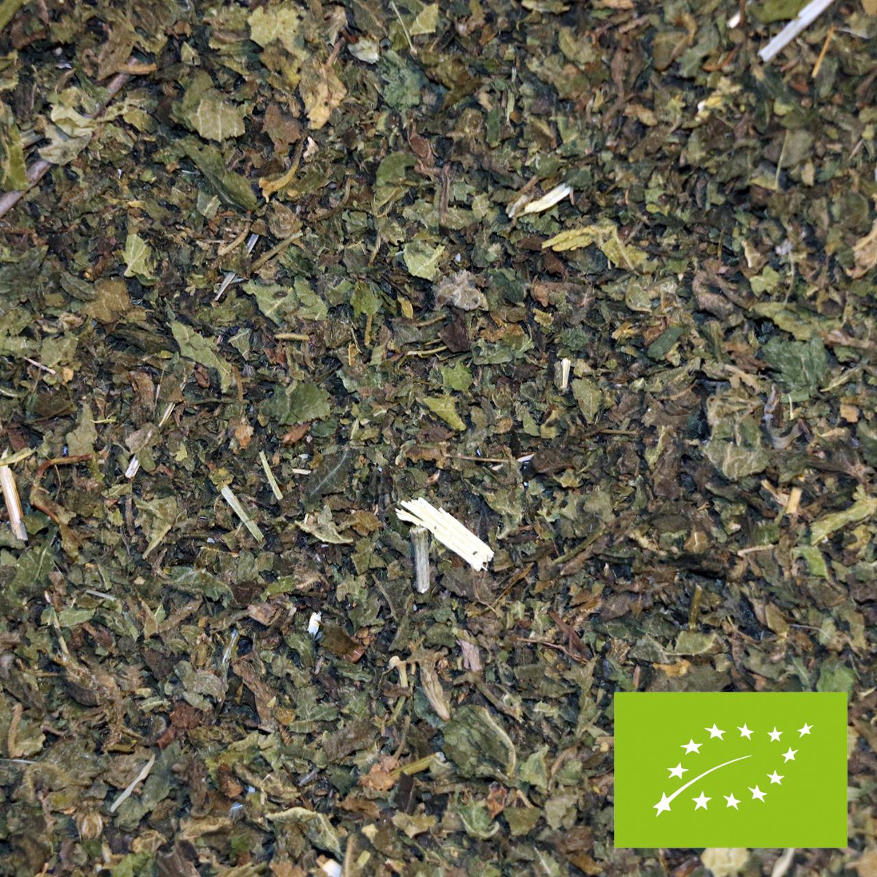 Økologisk Brændenælde